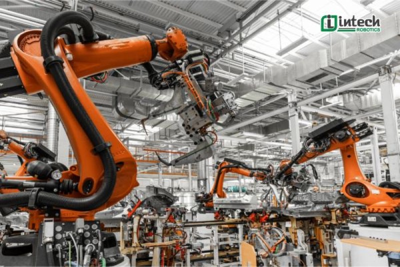 giai phap tu dong hoa ket hop robot boc xep 2026