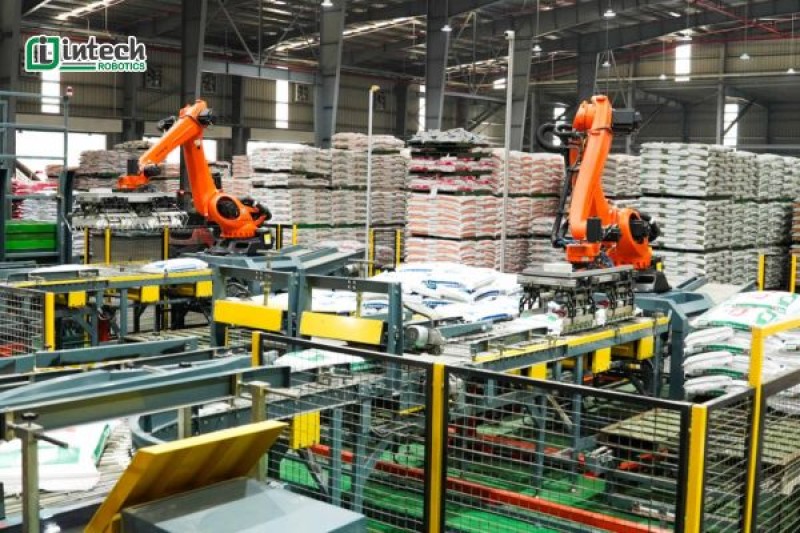 robot xep bao canh tay doi la gi  cau tao va nguyen ly hoat dong